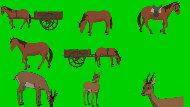 Horse, Wagon, Saddle, Deer, Gazelle, Cart, Buck, Doe, Ride 2d animated cartoon character on green screen chroma key background. High quality illustration loop cycle vector animation compositing.