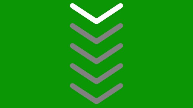 downward chevron arrows animating smoothly on green screen background. 2D animated cartoon motion graphics  for scroll down download next section and directional video content. Chromakey ready loop.