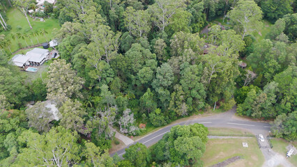 Naklejka premium Aerial View of Lush Forest and Road in Tallebudgera Hinterland