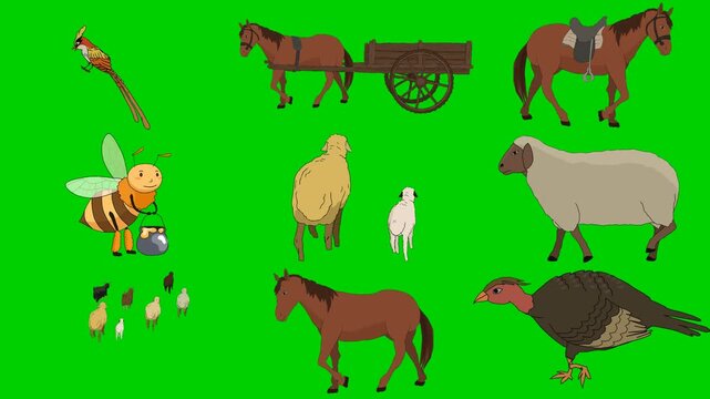 Bee, Horse, Wagon, Sheep, Lamb, Chick, Turkey, Cart, Ride 2d animated cartoon character on green screen chroma key background. High quality illustration loop cycle vector animation compositing.