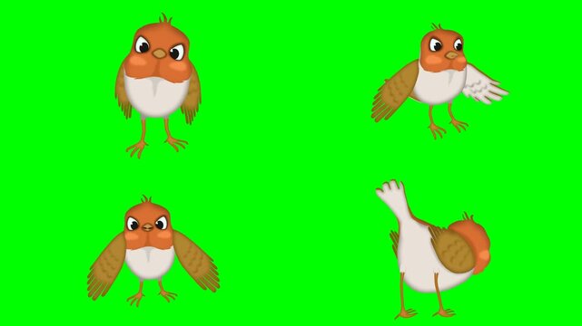 Cute little flying cartoon birds and a sitting hen animal figures animations 2d animated cartoon on green screen chroma key background. high quality loop cycle vector illustration animation