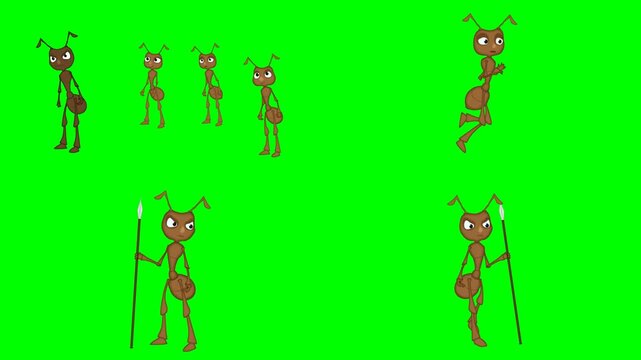 Several brown worker ant bugs walking, running, and holding spear animations 2d animated cartoon on green screen chroma key background. high quality loop cycle vector illustration animation