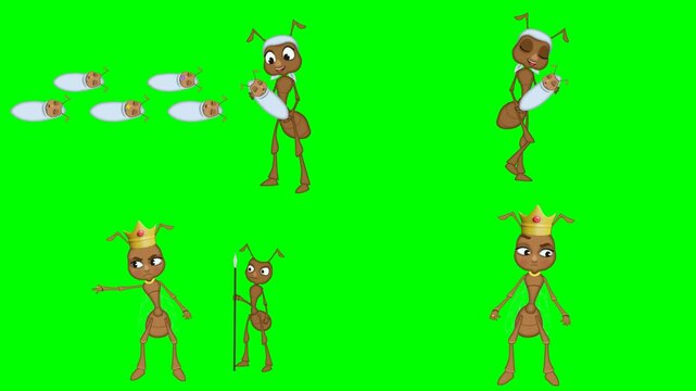 Royal king and queen ants wearing golden crowns and holding stuff animations 2d animated cartoon on green screen chroma key background. high quality loop cycle vector illustration animation