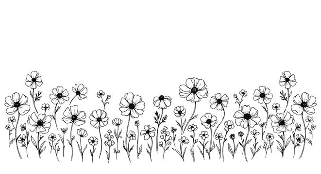Black and white floral border, line drawing flowers, vector illustration, botanical design element, decorative plant pattern