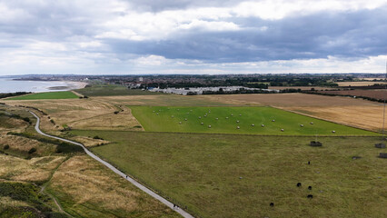 Obraz premium Aerial View of Coastal Farmland with Hay Bales and Cattle