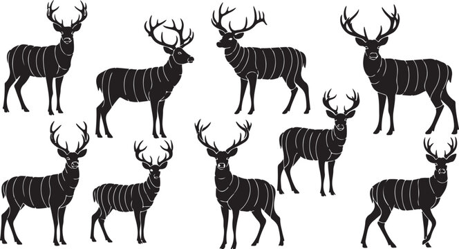 Deer, buck icons, black striped, vector set, wildlife illustrations, 8 pieces