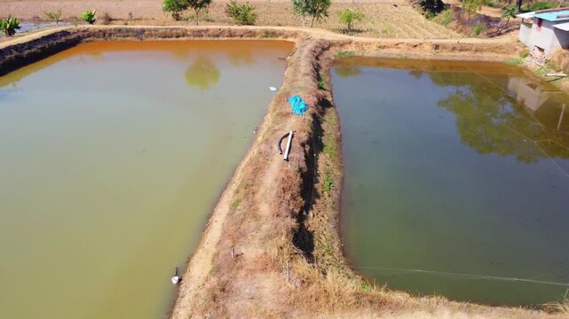 Aerial drone view of commercial fish seed hatchery fish farm industry 4k HD fooatge