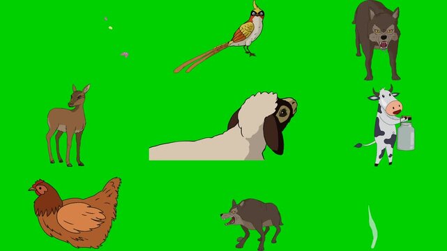 Pheasant, Wolf, Deer, Sheep, Cow, Hen, Chick, Magic, Spell 2d animated cartoon character on green screen chroma key background. High quality illustration loop cycle vector animation compositing.