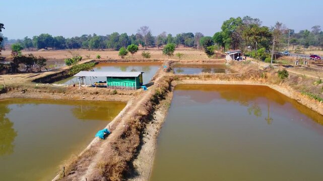 Aerial drone view of commercial fish seed hatchery fish farm industry 4k HD fooatge