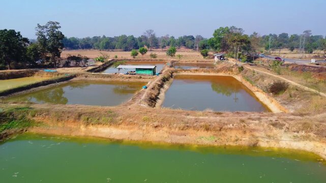 Aerial drone view of commercial fish seed hatchery fish farm industry 4k HD fooatge