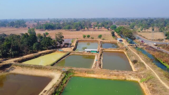 Aerial drone view of commercial fish seed hatchery fish farm industry 4k HD fooatge