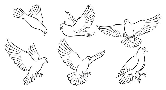 Set of flying white doves in various poses, hand-drawn sketch art