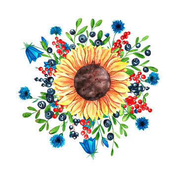 abA watercolor composition of sunflowers and wildflowers, bluebells, cornflowers, blueberries, red and black currants. Yellow flowers.stract flower background