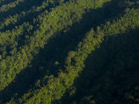 Aerial view of dense tropical forest covering the steep slopes of Mount Merapi with dramatic shadows and morning light Kecamatan Pakem, Daerah Istimewa Yogya, Indonesia.