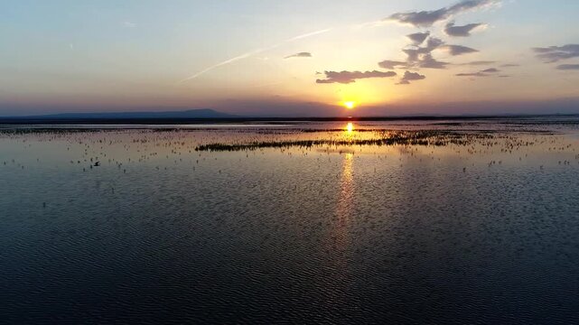 Aerial perspective reveals golden sunset reflecting on wetland water with dense reed patches and birds flying across colorful sky in Iranian marsh cinematic stock footage.