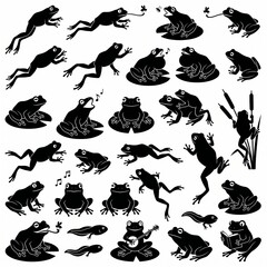 Obraz premium Black silhouette collection of frogs in various poses and actions, vector isolated on white