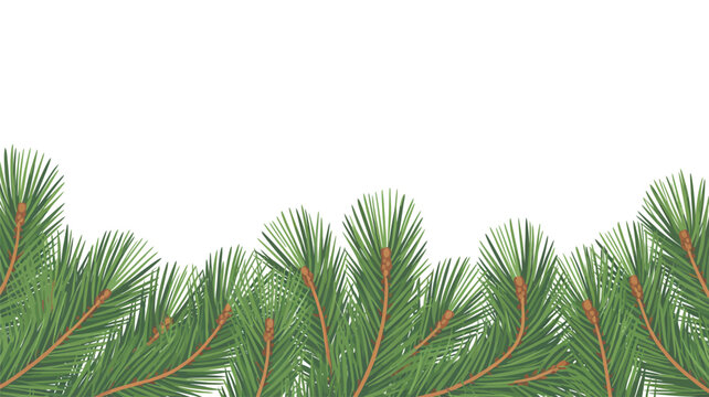 pine needle vector background