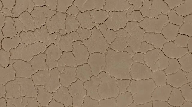 Perfect hexagonal crack patterns cover the entire visible salt lake surface with subtle color shifts from beige to light brown under bright midday sun Iran aerial video.