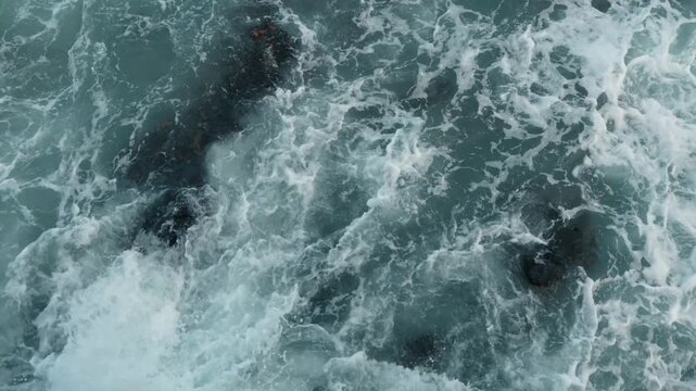 Top view of crashing ocean waves on dark volcanic rocks. Overhead shot of white sea foam and turquoise water hitting black volcanic stones on Isabela Island.