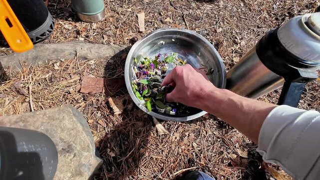Hands mixing foraged greens in bowl beside camp stove and thermos on pineneedle ground, camper preparing fresh wild salad with steel bowl and utensils, overhead POV, daylight, rustic