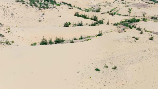 Aerial drone footage of the coastal sand dunes located between Hon Kho and Eo Gio, Quy Nhon, Binh Dinh Province, Vietnam. The drone glides low over rolling sandy dunes dotted with sparse scrubby coast
