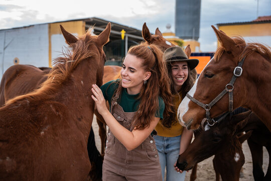 Two women petting chestnut horse at stable outdoors