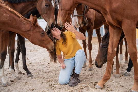 Woman kneeling among horses in stable yard, gentle touch