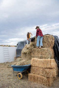 Two women stack hay bale and tarp on rural farmyard