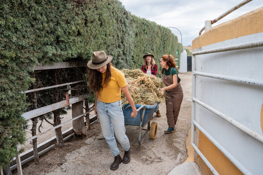 Young women moving hay with wheelbarrow on farm path