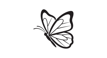Butterfly silhouette on a white background silhouette © MD