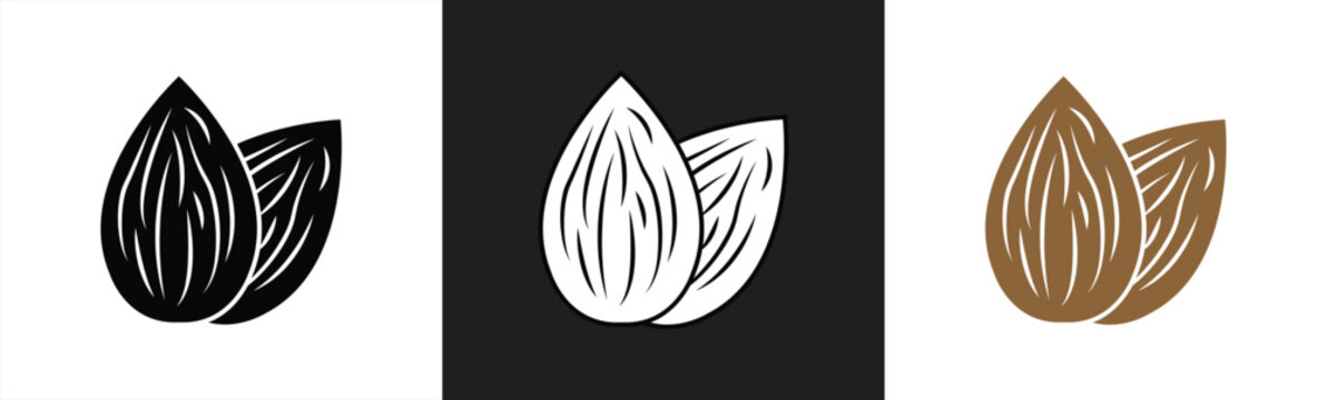 almond icon. Nut icon isolated on a white background. Vector illustration