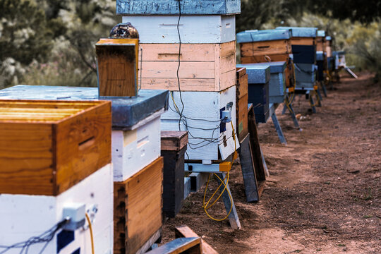 Row of technologically advanced wooden beehives in a natural rural setting