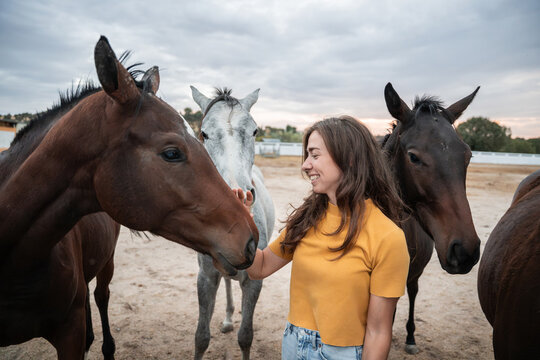 Young woman petting horse in paddock at cloudy sunset