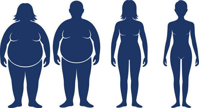 Four human body silhouettes showing different weight levels from obese to slim on white background