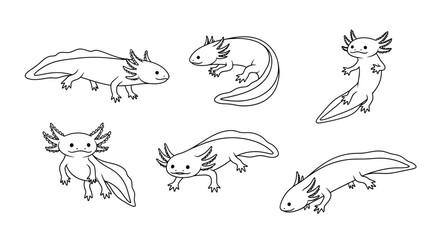 Obraz premium Set of cute axolotl doodles in various poses, hand-drawn line art