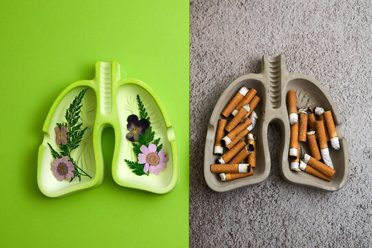 Lungs ashtrays showing health versus smoking concept