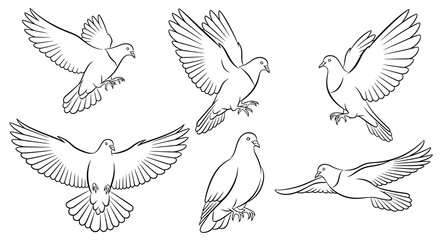 Obraz premium Set of Flying Pigeons, Hand-Drawn Sketch Collection for Peace