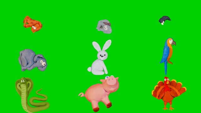 Safari animal animation on green screen chroma key background with goat, rabbit, snake, and pig. High quality isolated footage assets for your creative projects today. Use this