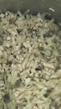 Mix chopped onions with fat and spices for minced meat in simple steps