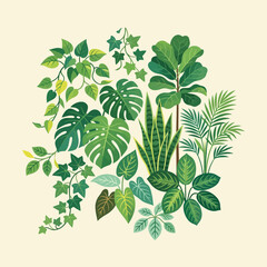 A vibrant collection of diverse green houseplants and tropical foliage, featuring Monstera, Fiddle Leaf Fig, Snake Plant, and various leafy plants, arranged on a light background. © Insan