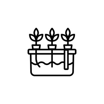 Hydroponics System for Modern Farming