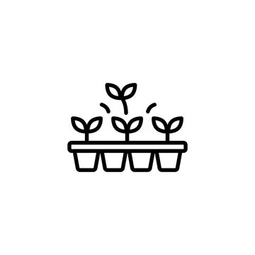 Seedling Starter Tray for Gardening