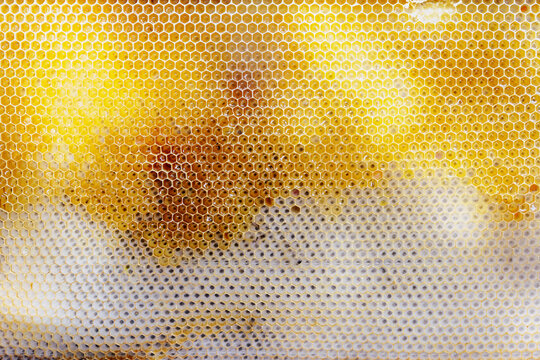 Natural honeycomb texture with hexagonal cells of wax and golden honey