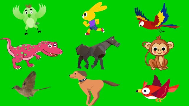 Zoo mix green screen chroma key background animation featuring parrot, rabbit, macaw, dinosaur, horse, monkey, eagle, dog, and bird. High quality isolated footage. Buy this pro