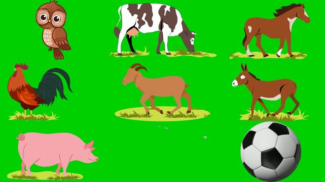 Farm animals green screen chroma key background animation featuring owl, cow, horse, rooster, goat, donkey, pig, ball, and dog. High quality isolated footage. Buy this pro clip