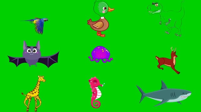 Water mix green screen chroma key background animation featuring duck, frog, deer, bat, jellyfish, fish, giraffe, seahorse, and shark. High quality isolated footage. Buy this pro