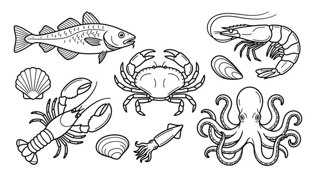 Seafood outline illustrations including fish, crab, lobster, shrimp, and octopus