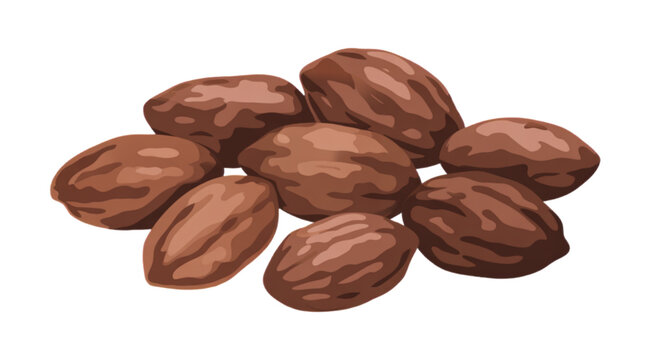 Pile of roasted hazelnuts close up with one nut cracked open showing inside Vector