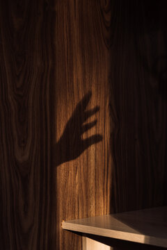 Shadow of hand on wooden wall in warm sunlight.