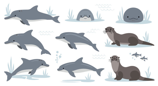Cartoon dolphins and sea lion.